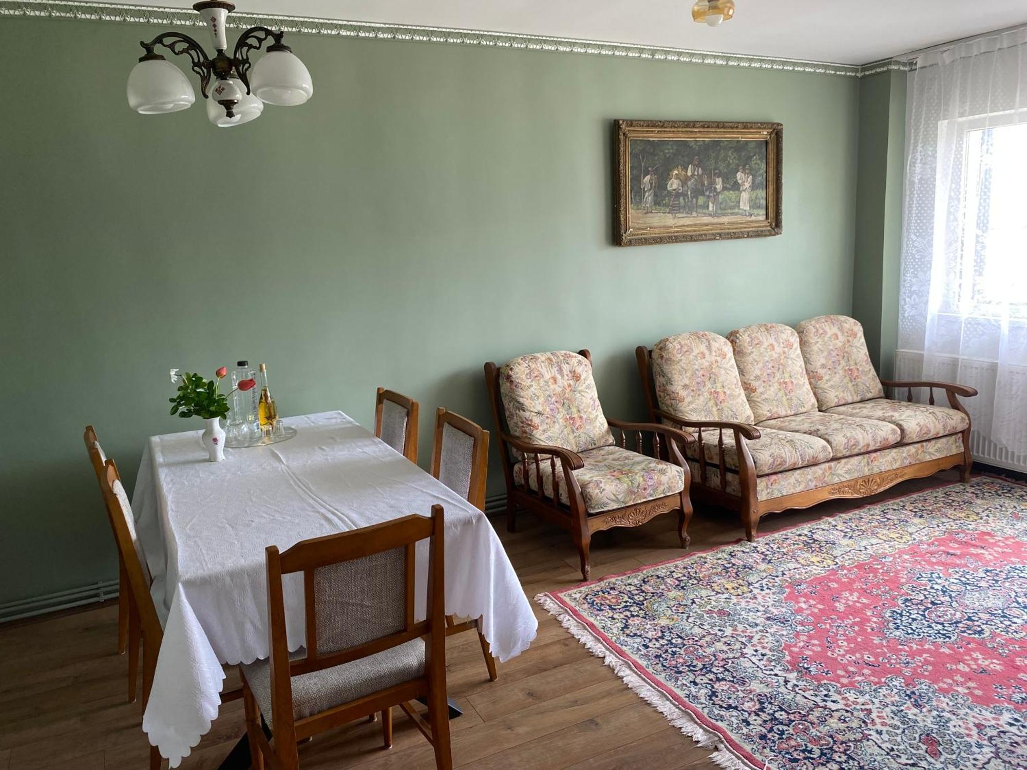 Apartament Ultracentral Botis Сигету-Мармацией Экстерьер фото